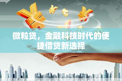 增城微粒贷，金融科技时代的便捷借贷新选择