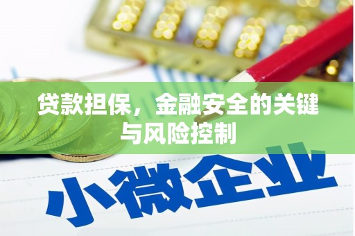 增城贷款担保，金融安全的关键与风险控制