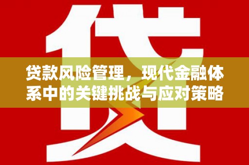 增城贷款风险管理，现代金融体系中的关键挑战与应对策略
