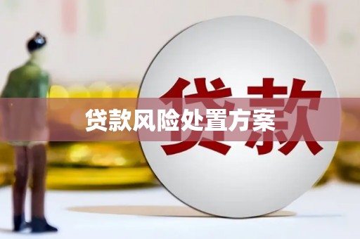 增城贷款风险处置方案
