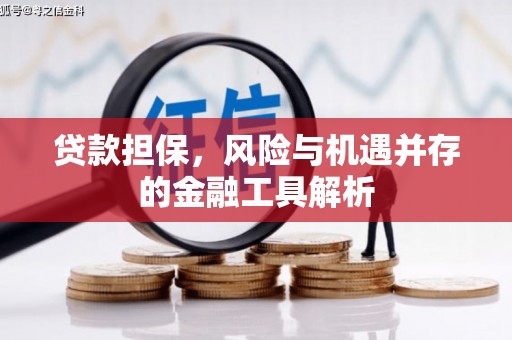 增城贷款担保，风险与机遇并存的金融工具解析