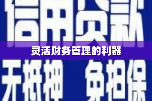 增城灵活财务管理的利器