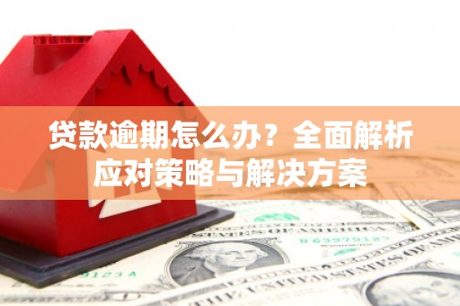 增城贷款逾期怎么办？全面解析应对策略与解决方案