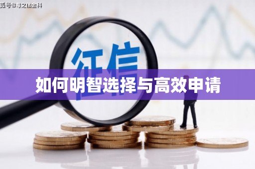 增城如何明智选择与高效申请