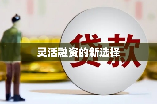 增城灵活融资的新选择
