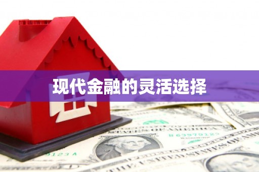增城现代金融的灵活选择