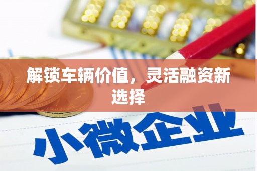 增城解锁车辆价值，灵活融资新选择
