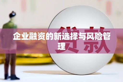 增城企业融资的新选择与风险管理