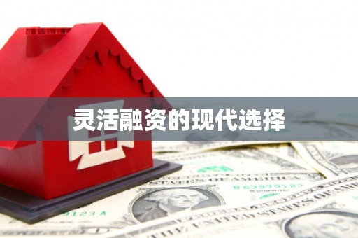 增城灵活融资的现代选择