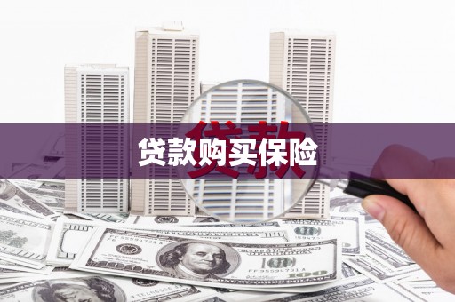 增城贷款购买保险