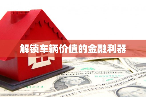 增城解锁车辆价值的金融利器