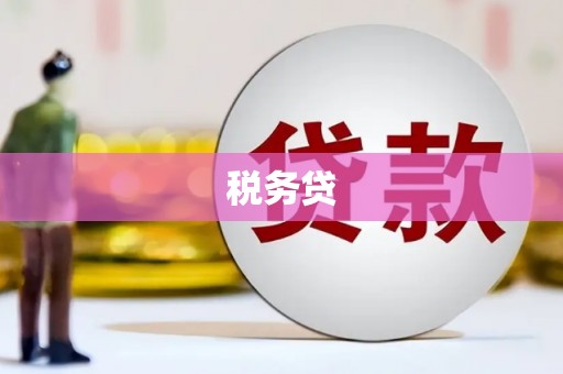增城税务贷